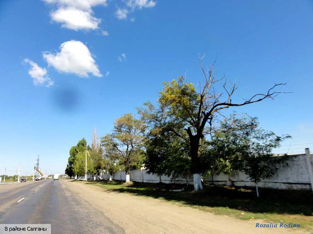 Белгород-Днестровский район