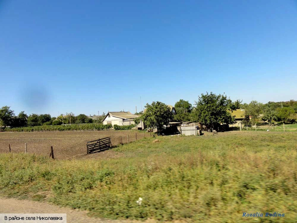 Белгород-Днестровский район