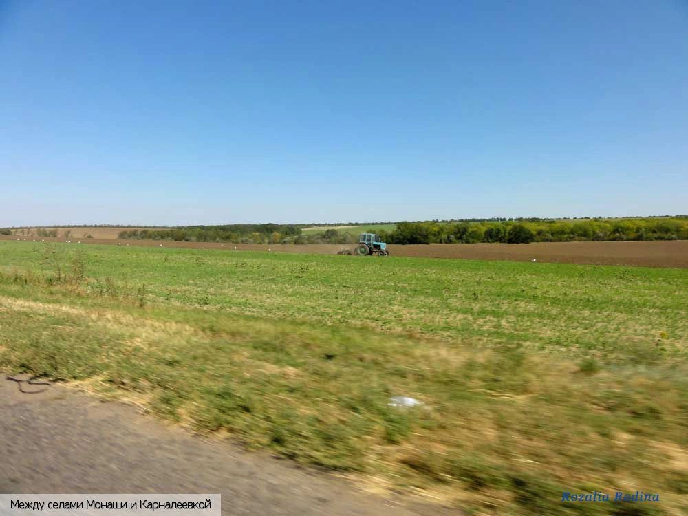 Белгород-Днестровский район