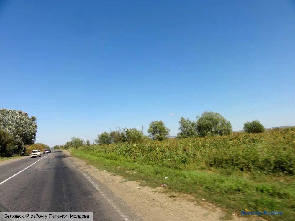 Беляевский район
