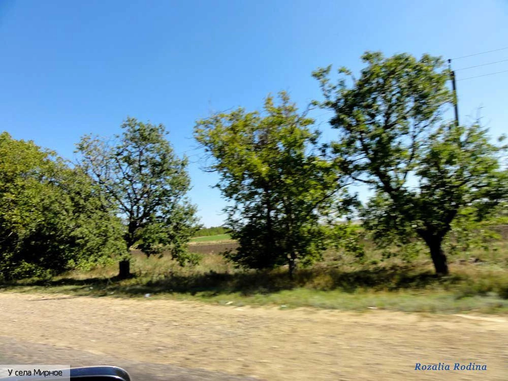 Беляевский район
