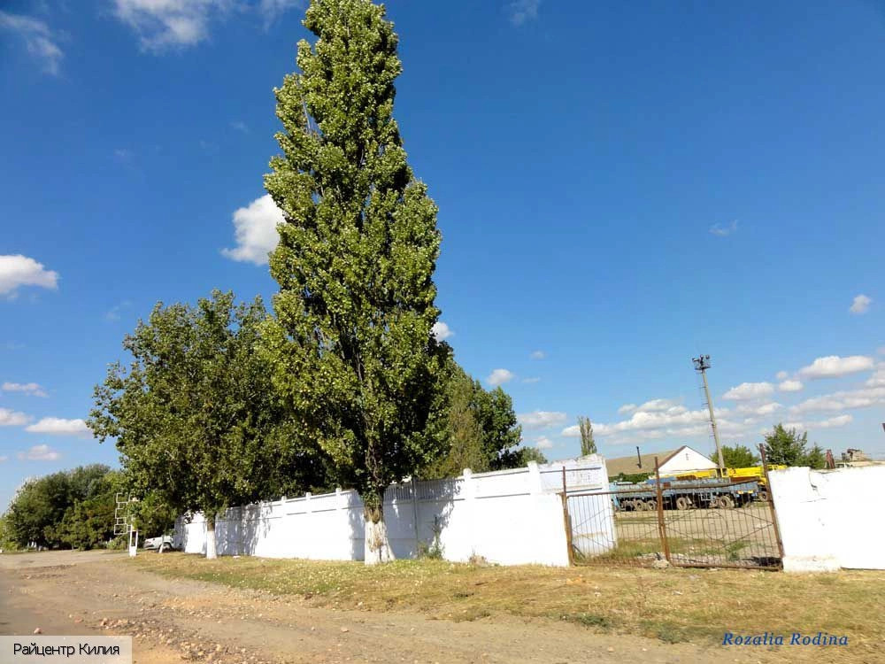 Килийский район