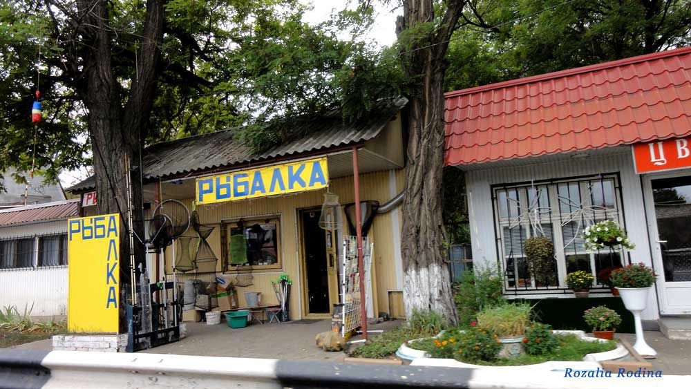 Овидиопольский район