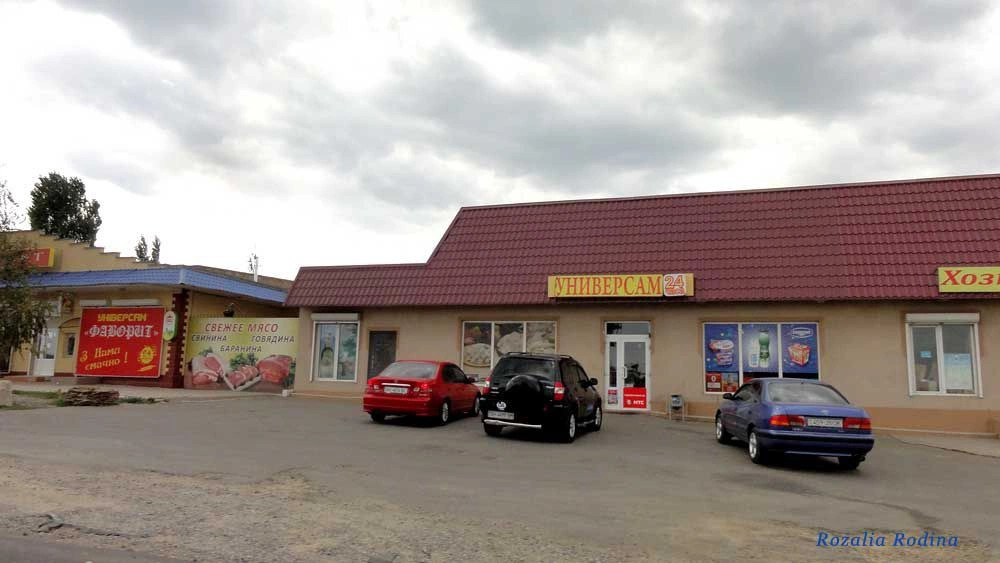 Овидиопольский район