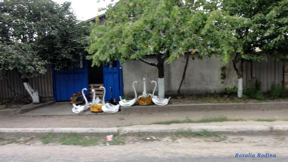 Овидиопольский район
