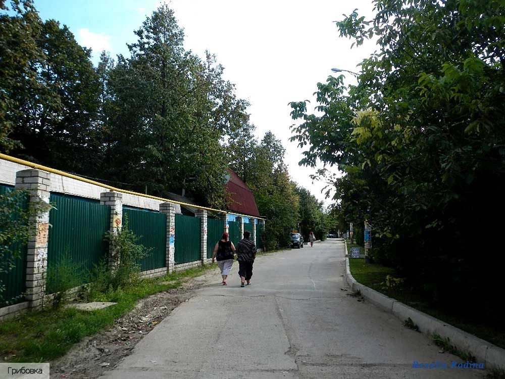 Овидиопольский район
