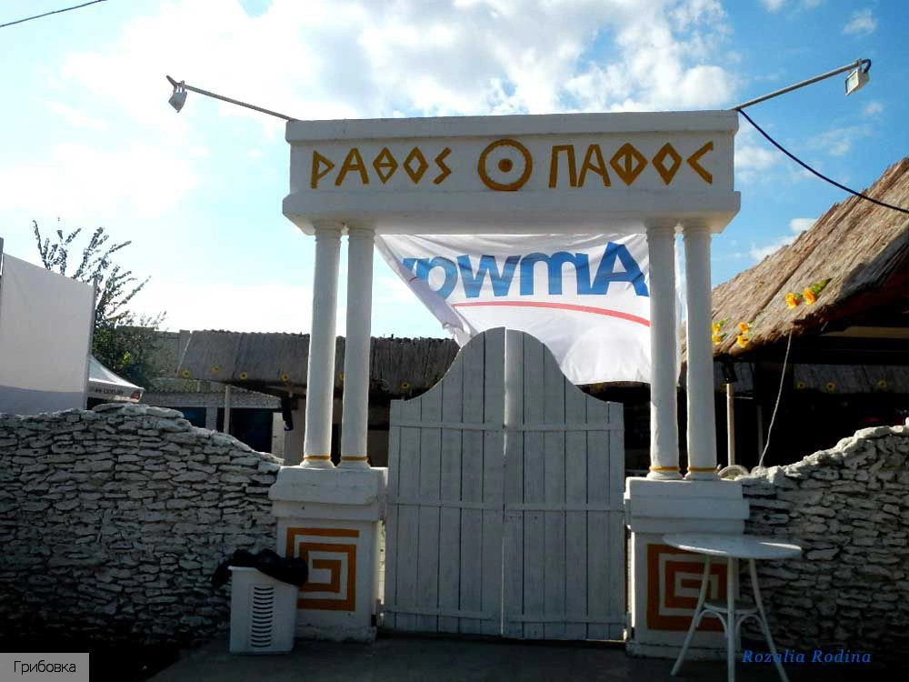 Овидиопольский район