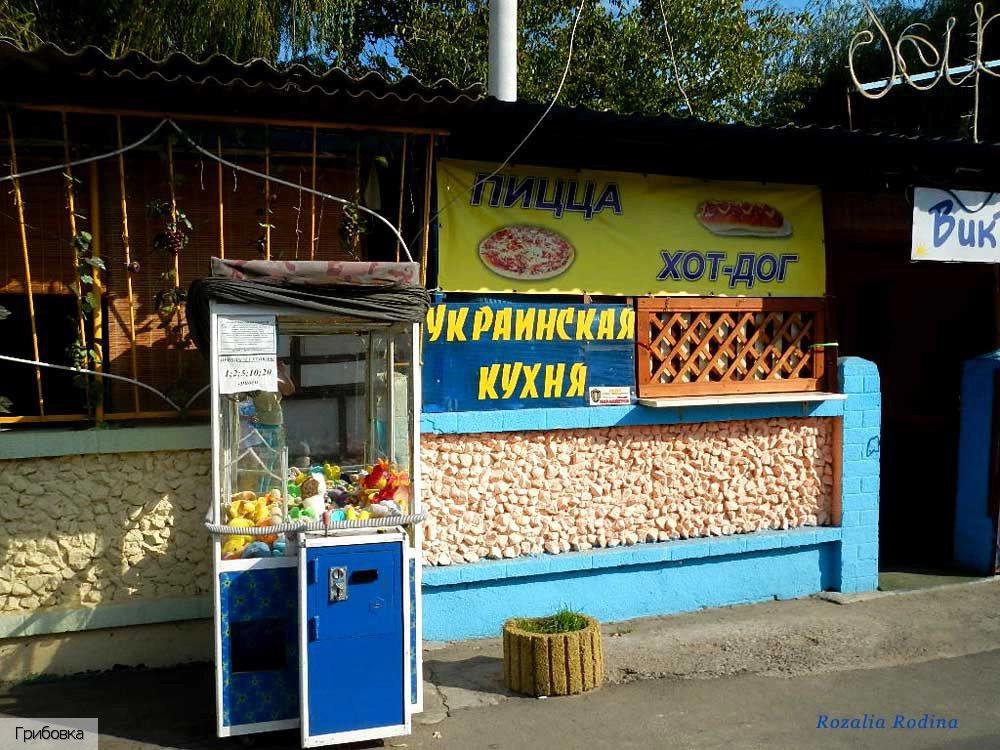Овидиопольский район