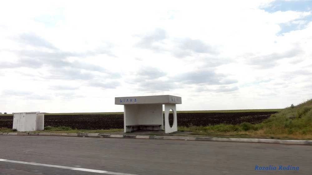 Раздельнянский район