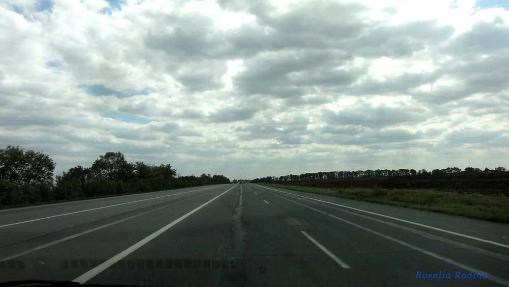Раздельнянский район