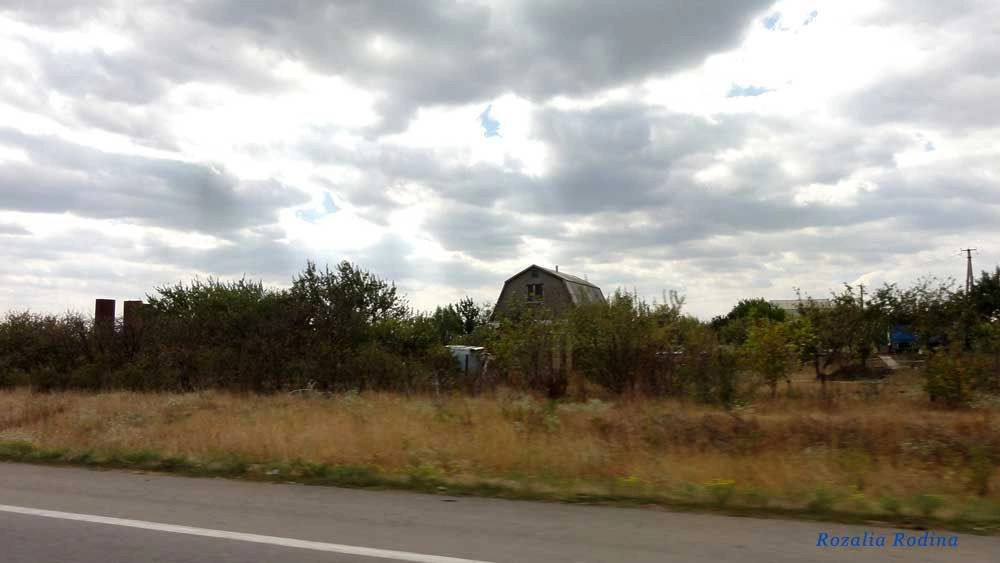 Раздельнянский район