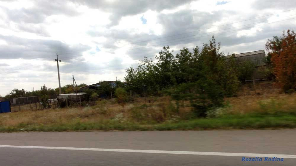 Раздельнянский район