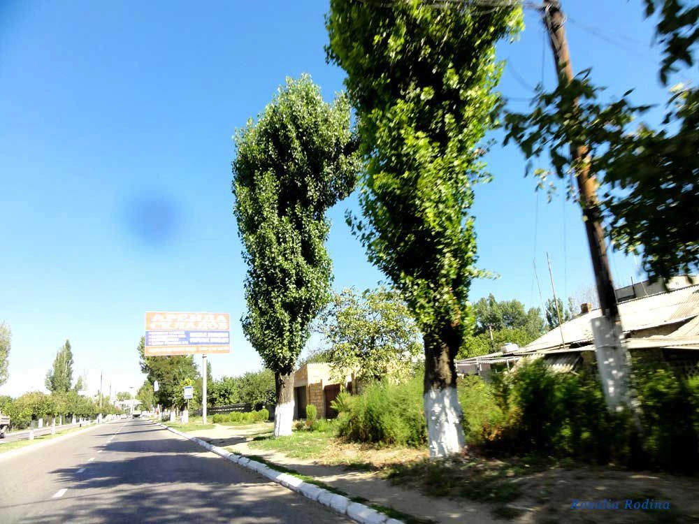 Белгород-Днестровский город