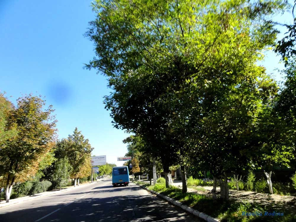 Белгород-Днестровский город
