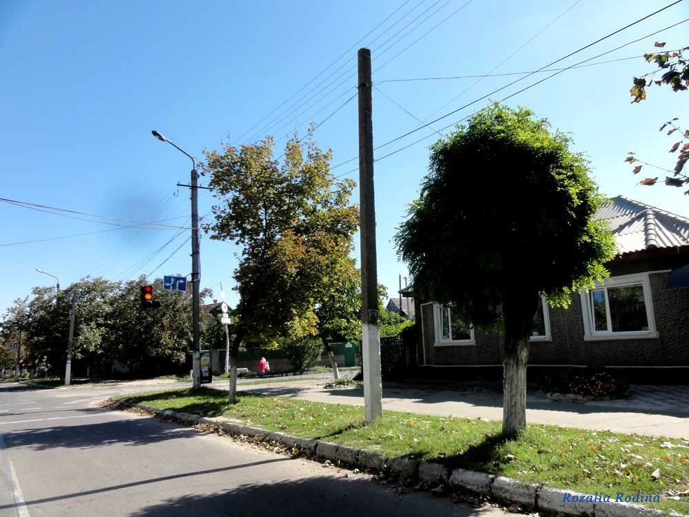 Белгород-Днестровский город