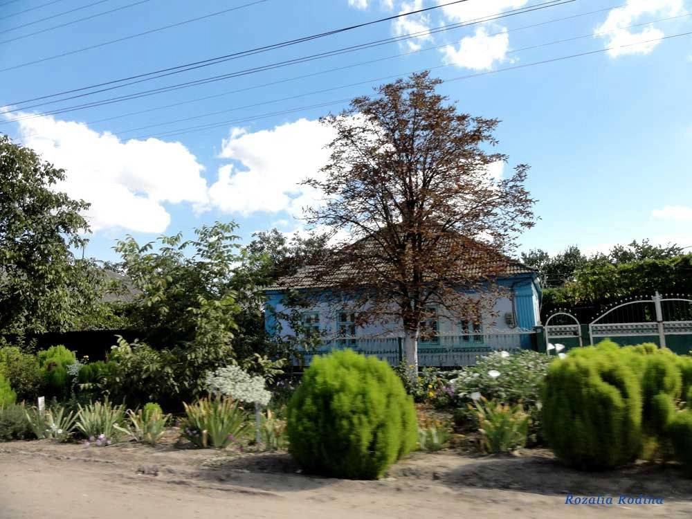 Килия