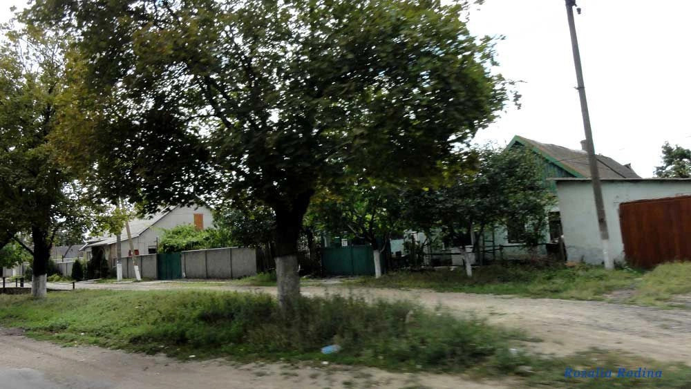 Великодолинское