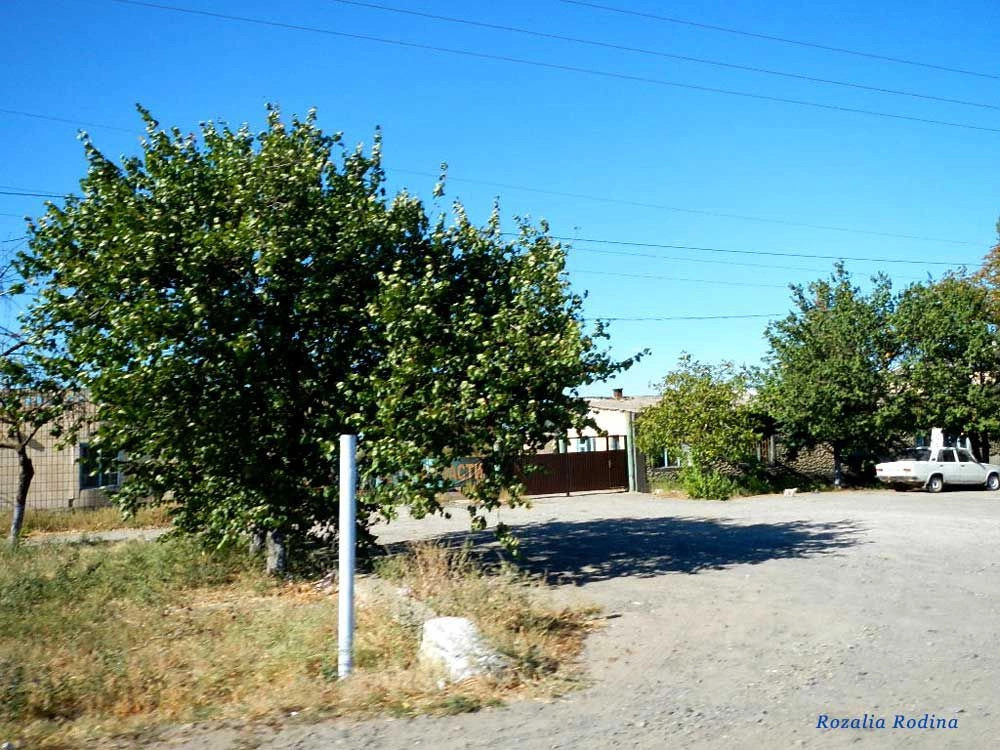 Татарбунары
