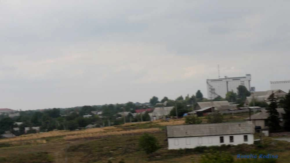 Любашёвка