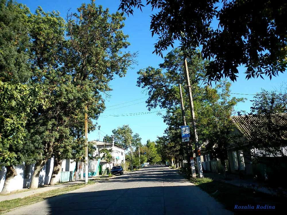 Вилково