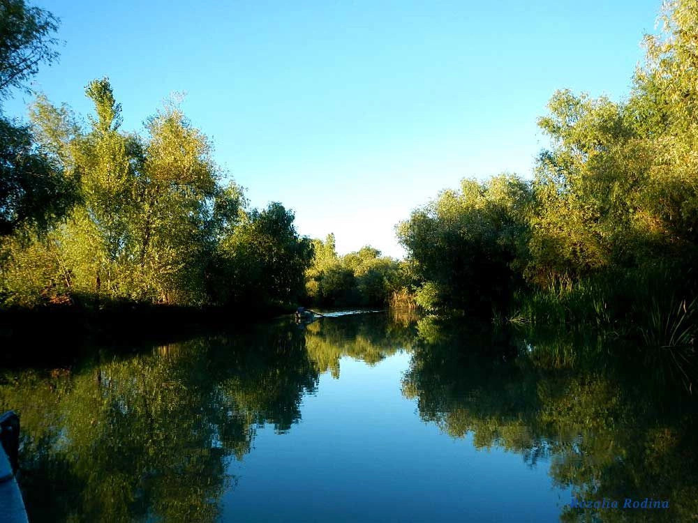 Вилково