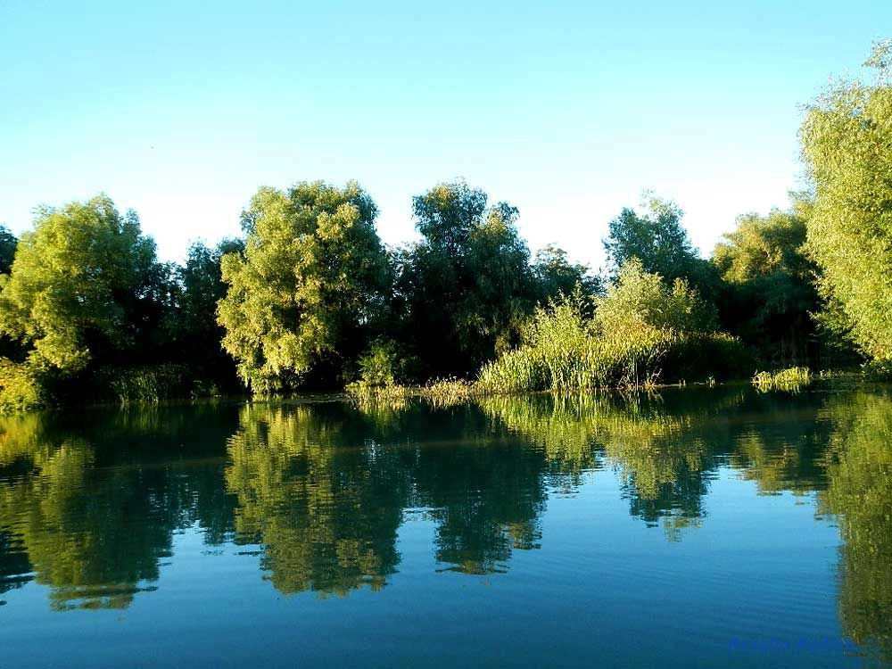 Вилково