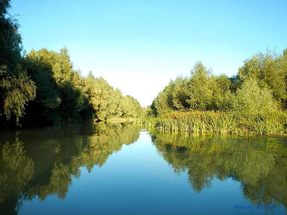 Вилково