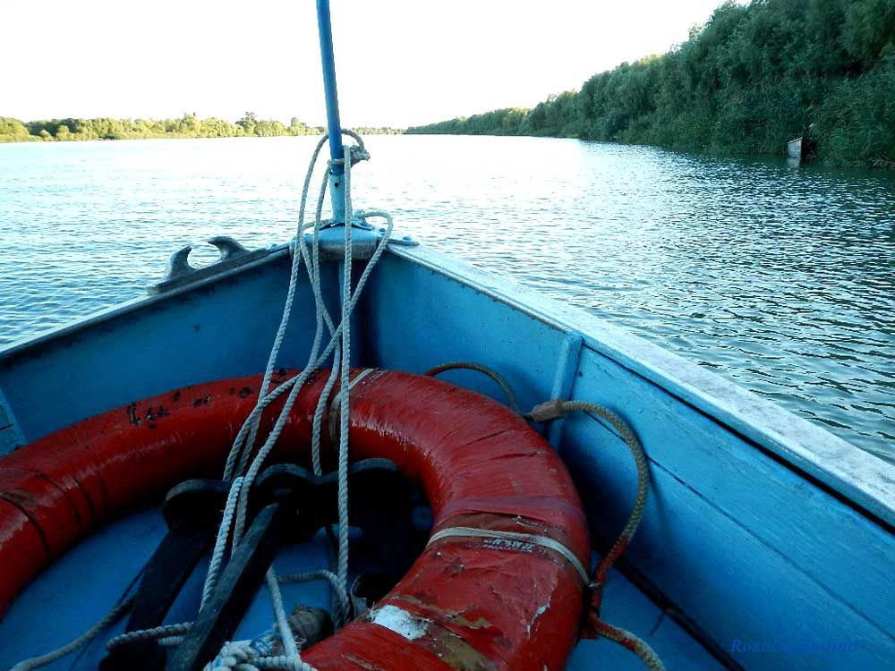 Вилково