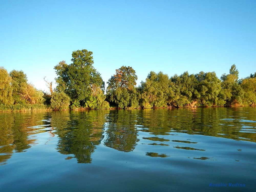 Вилково