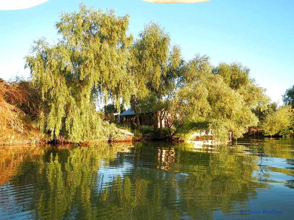 Вилково