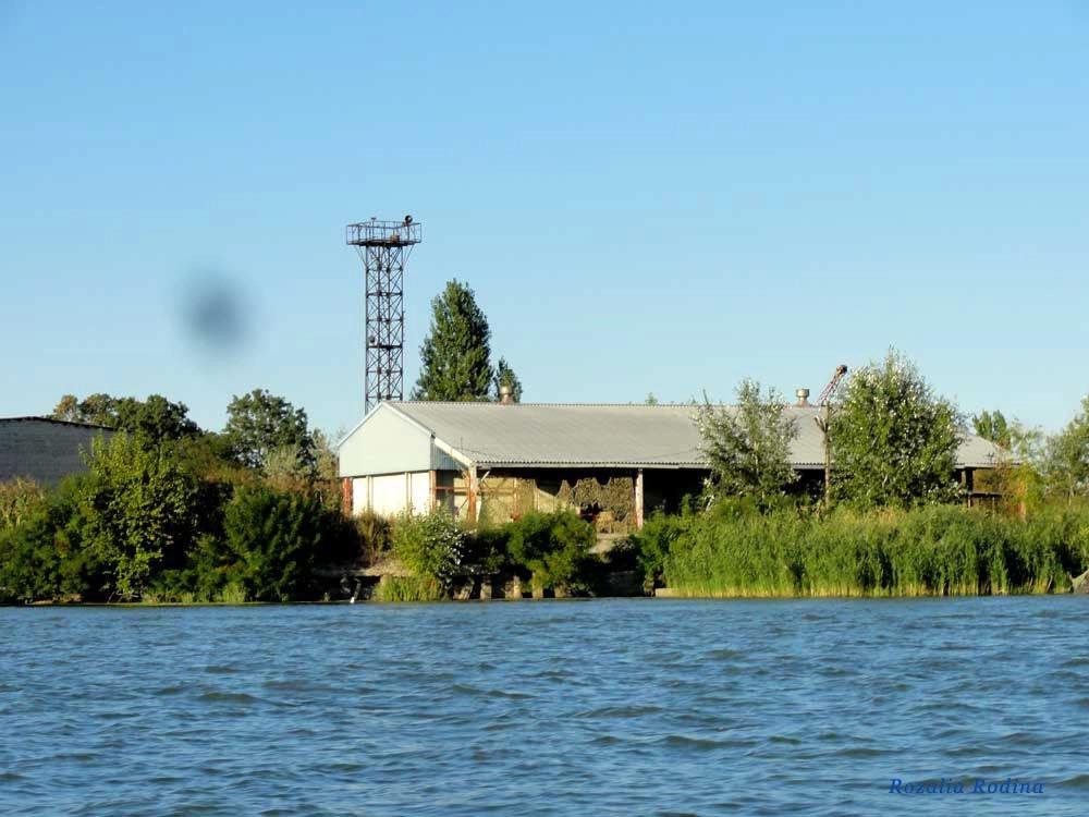 Вилково