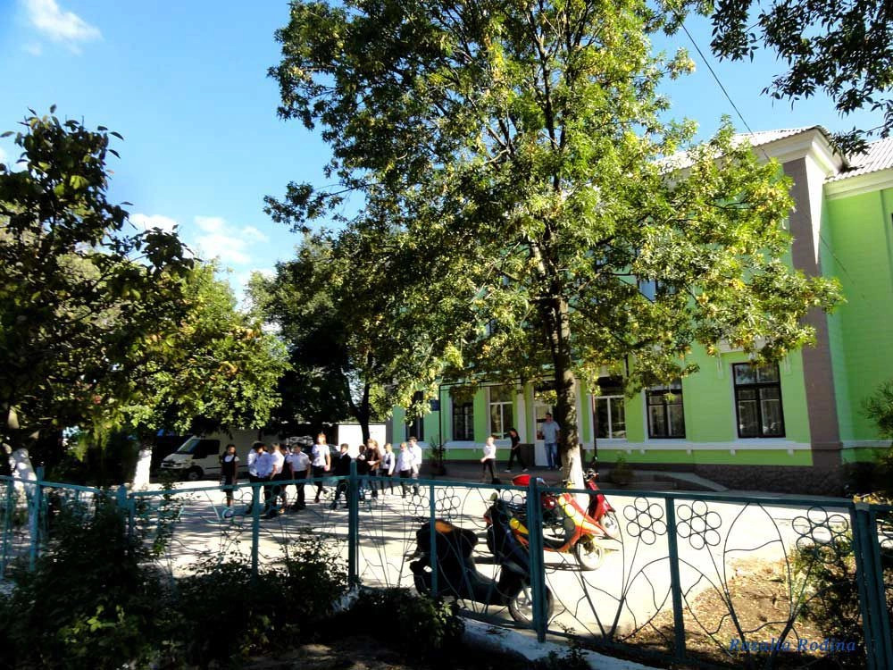 Вилково