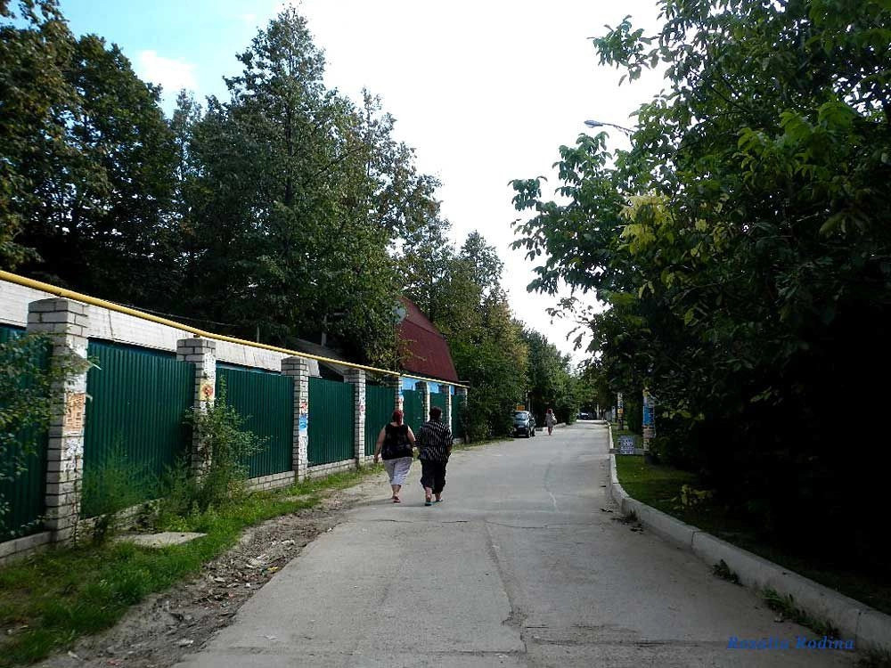 Грибовка