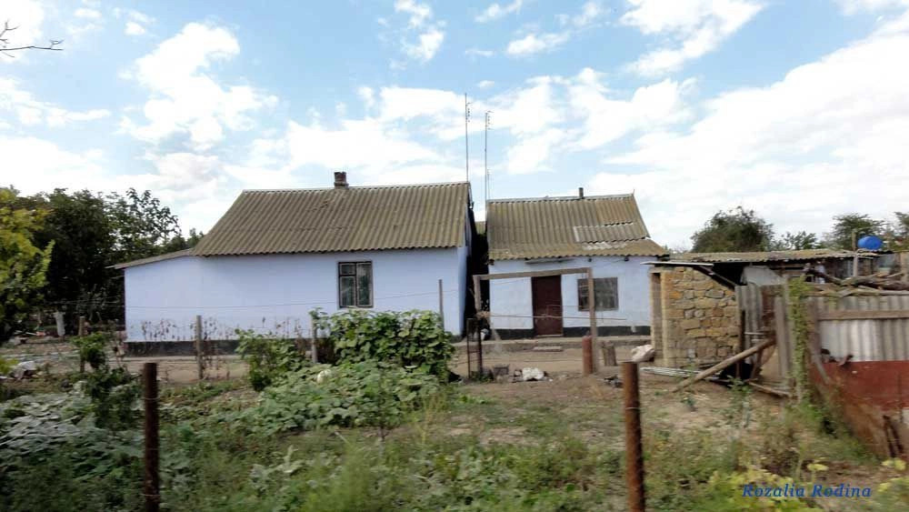 Грибовка