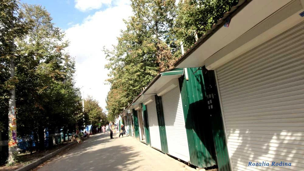 Грибовка