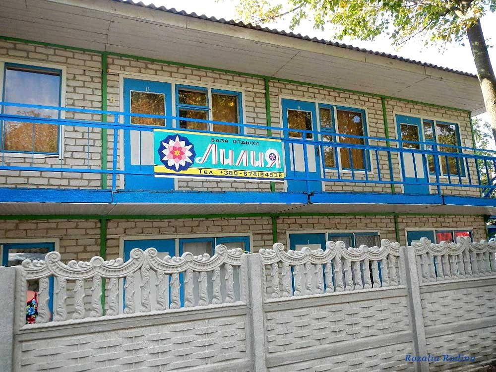 Грибовка