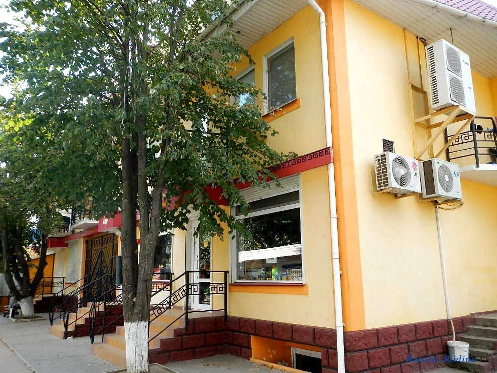 Грибовка