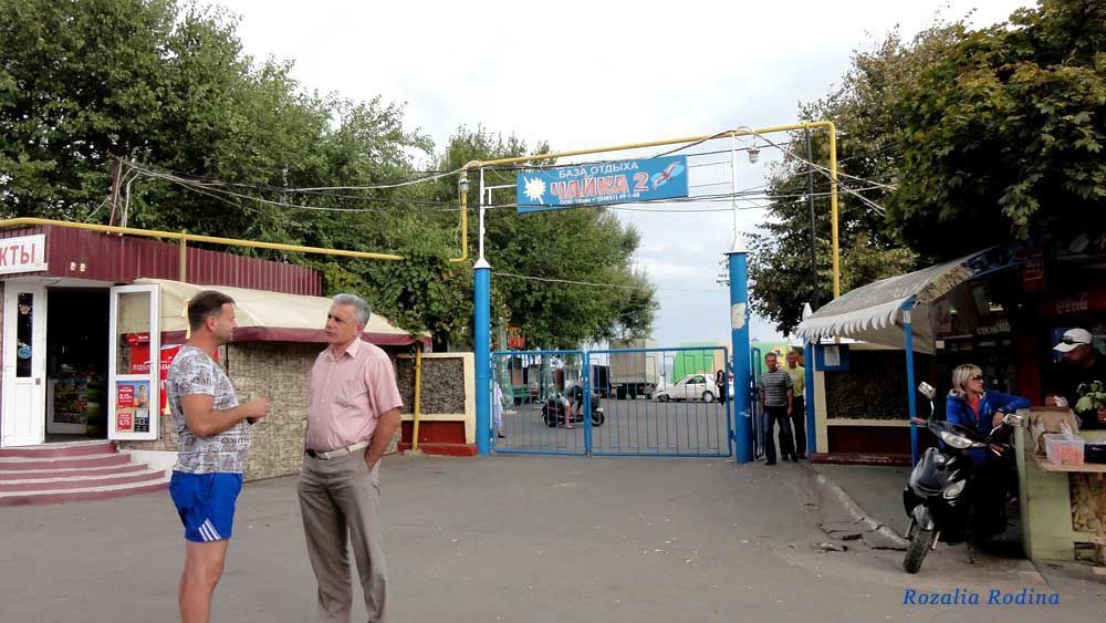 Грибовка