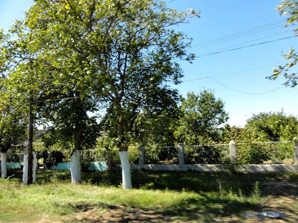 Курортное
