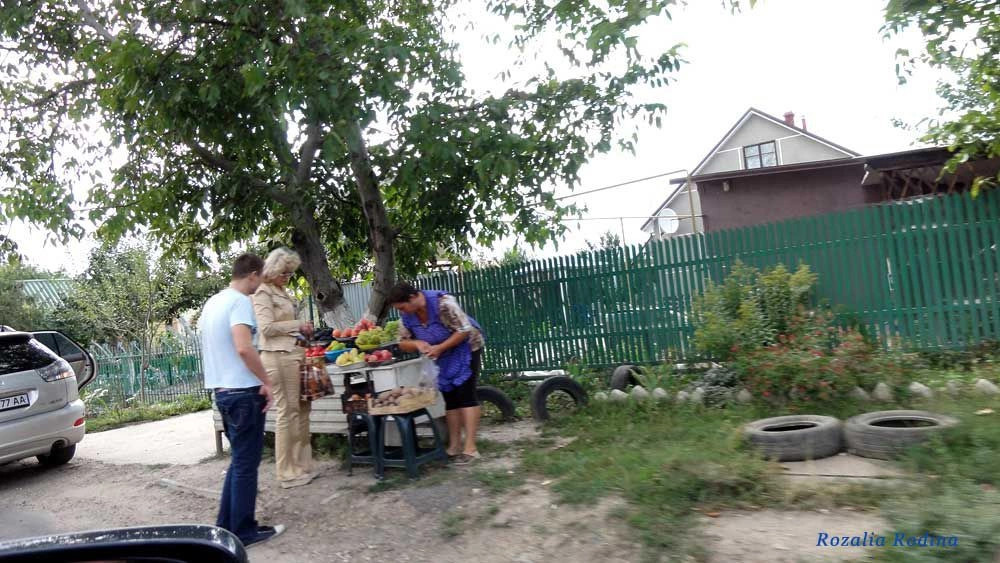 Санжейка