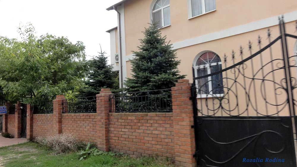 Санжейка