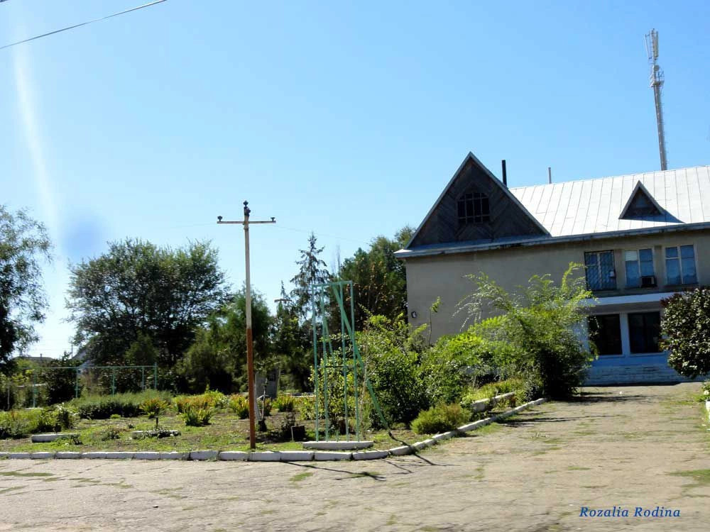 Приморское