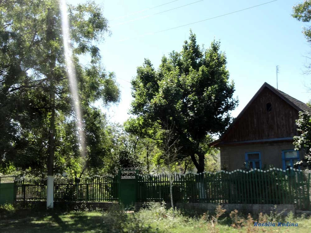 Приморское