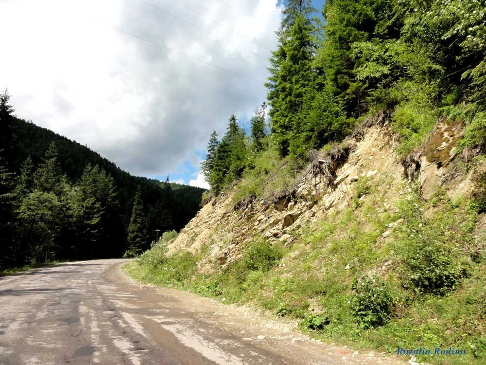 Яремчанский горсовет