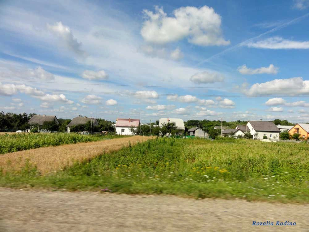 Николаевский район (Львов.)