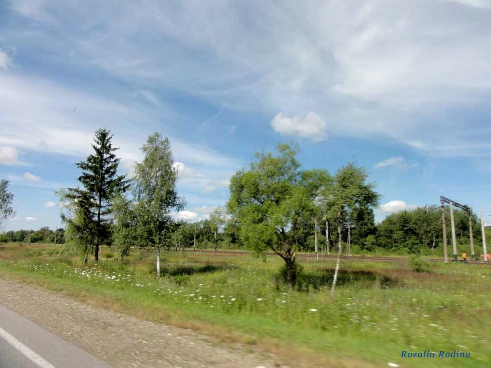 Николаевский район (Львов.)