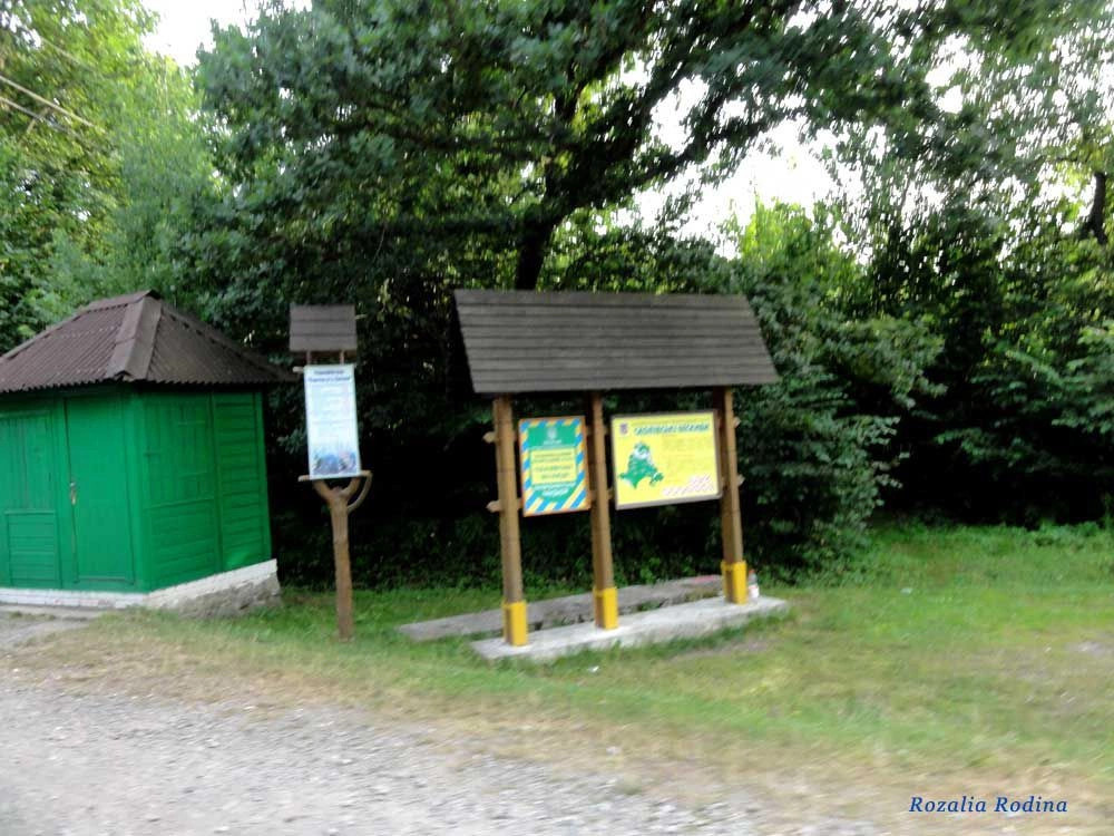 Сколевский район