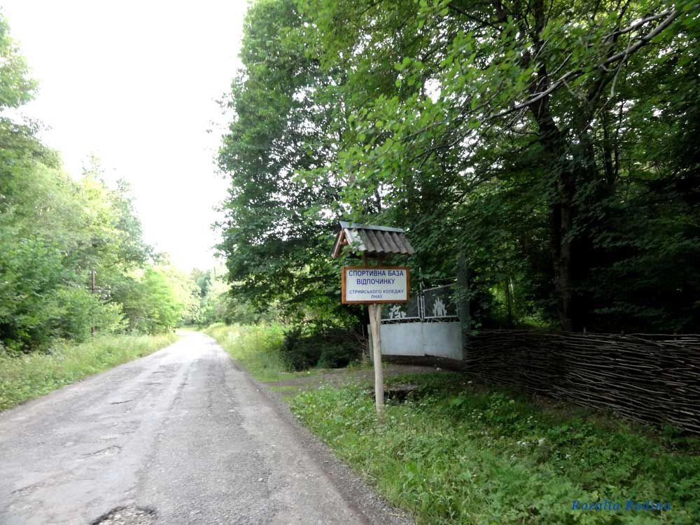 Сколевский район