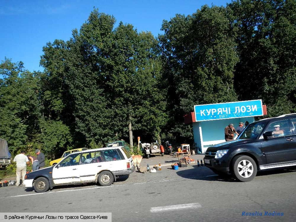 Кривоозерский район