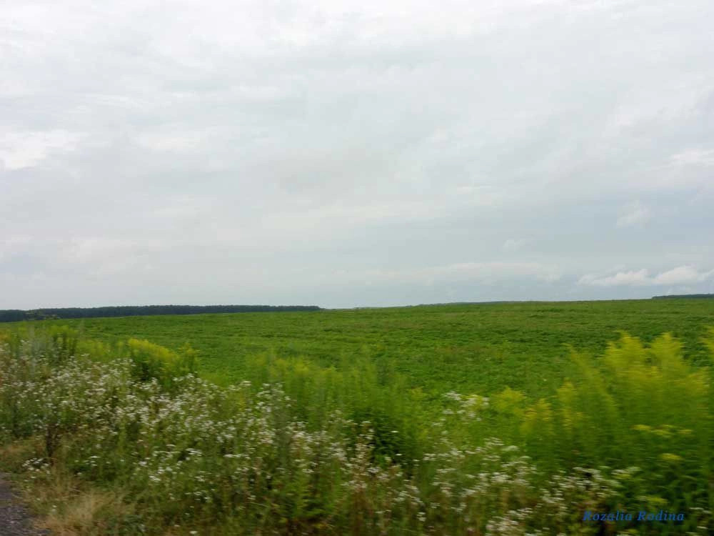 Дубенский район